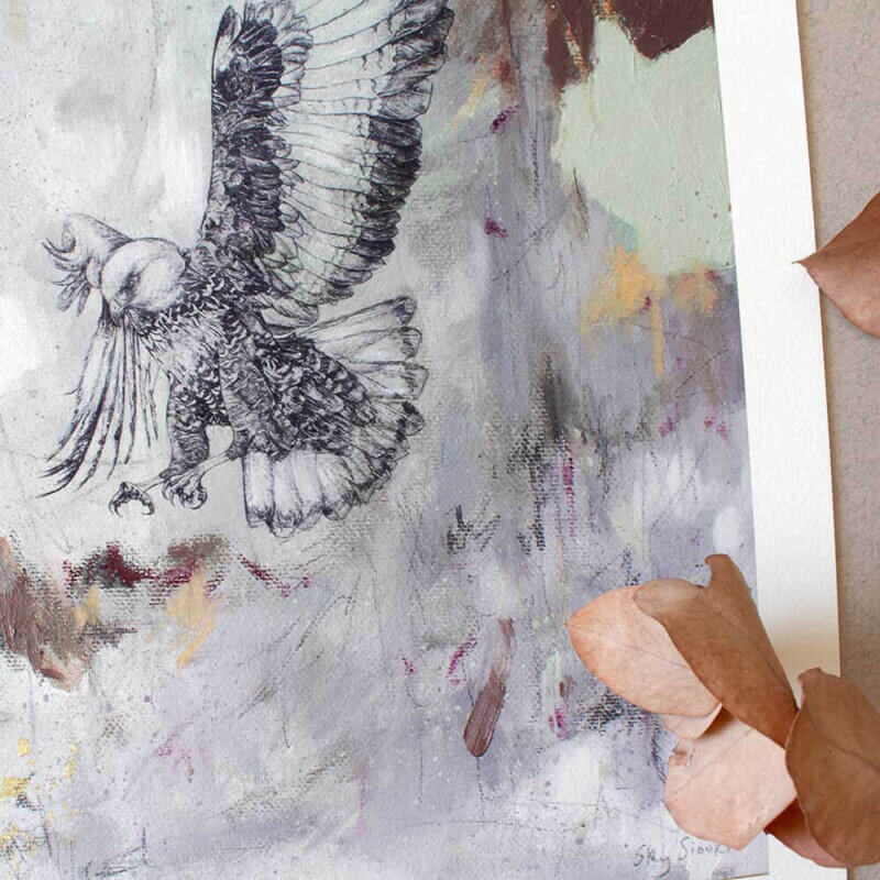 Swoop - Limited Edition Giclee Print