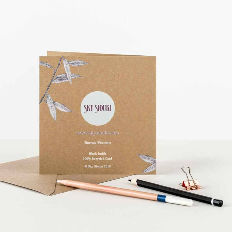 Brown-Pelican-Greeting-Card-Back-Sky-Siouki