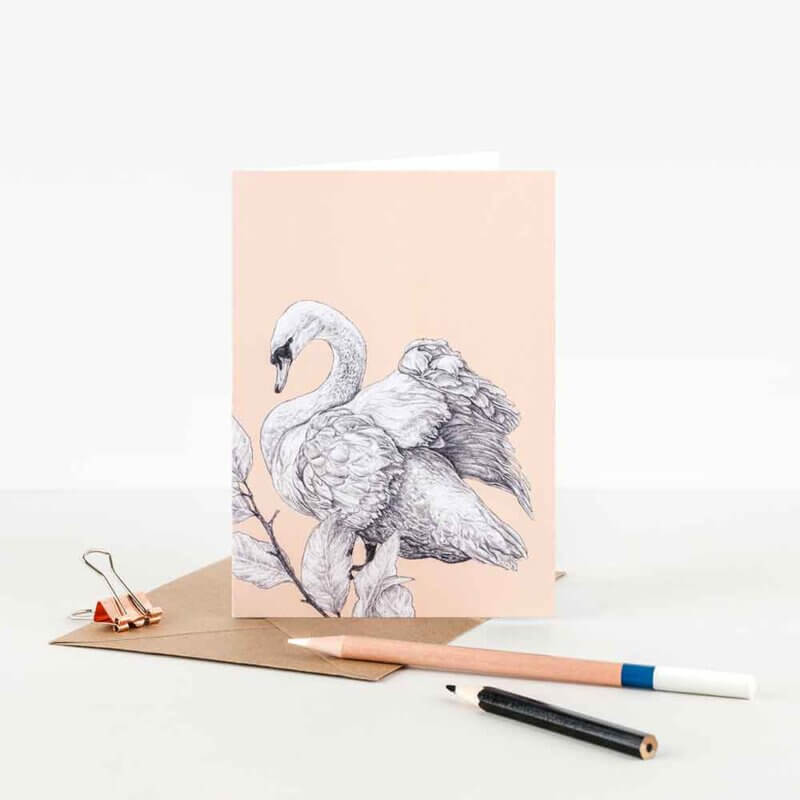 Mute-Swan-Illustration-Note-Card-Sky-Siouki