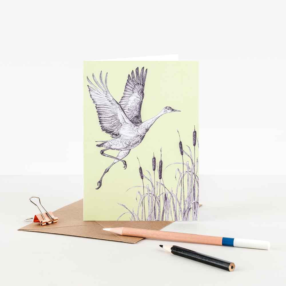 Sandhill-Crane-Illustration-Note-Card-Sky-Siouki