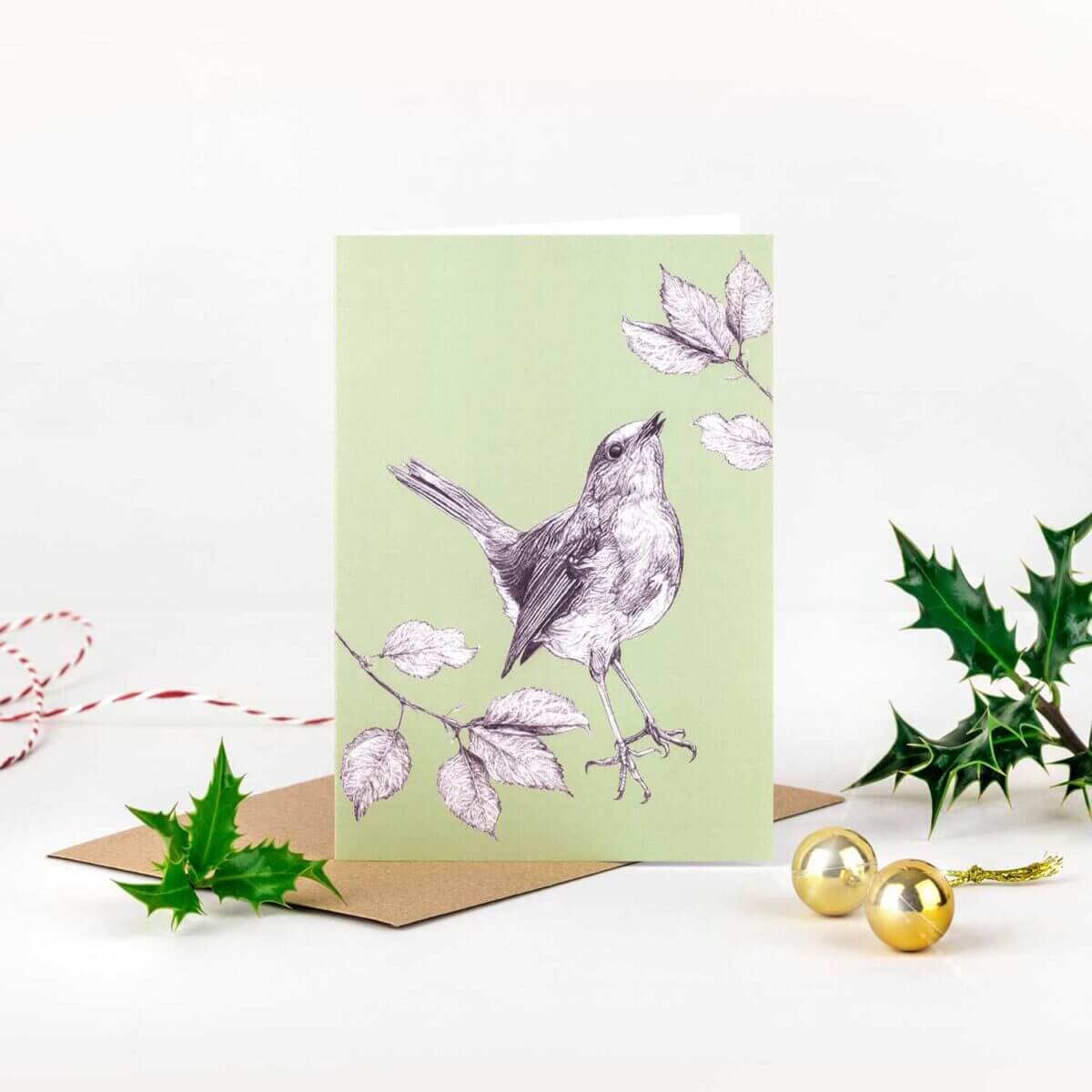 Sky-Siouki-Robin-Red-Breast-Card