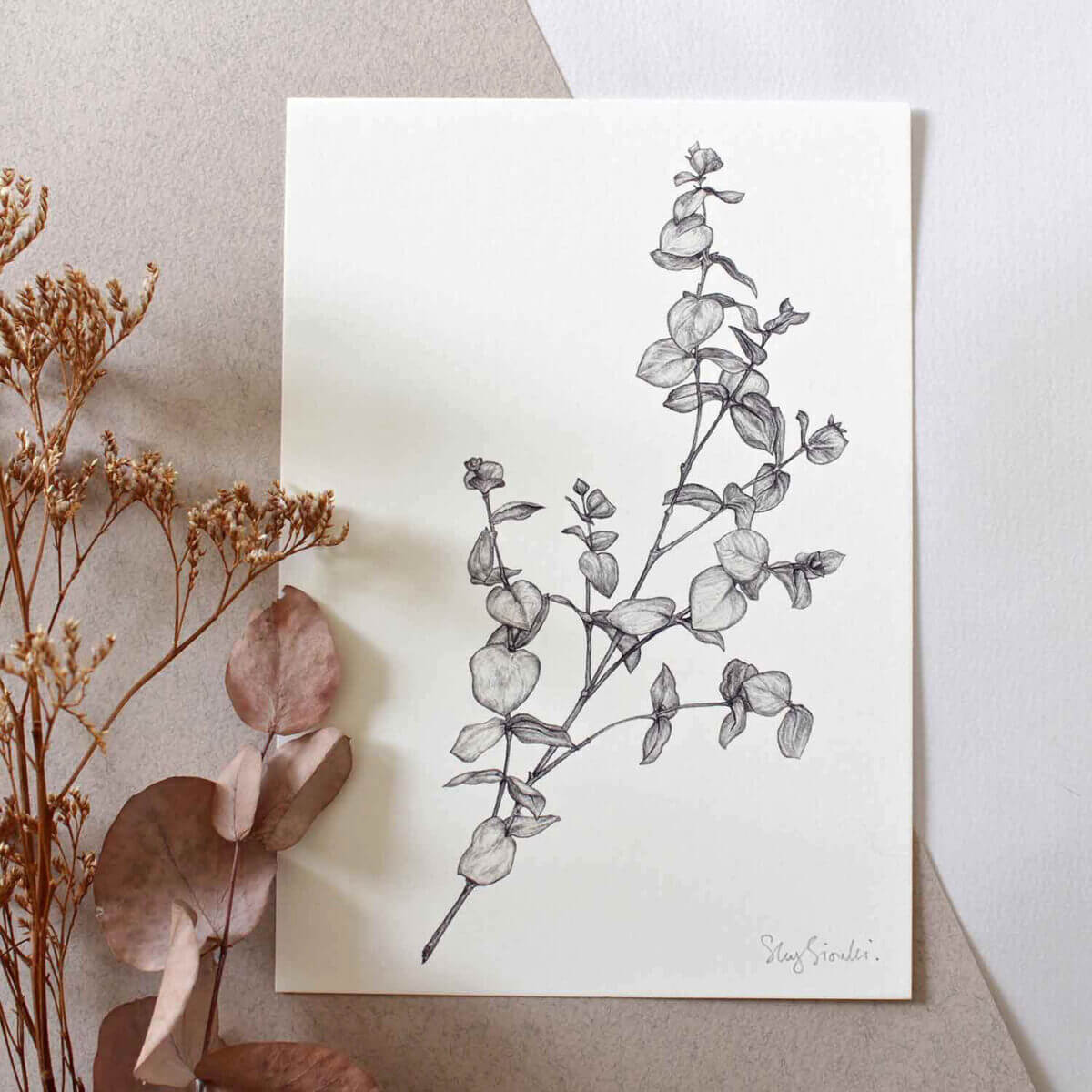 Eucalyptus-Art-Print-Sky-Siouki
