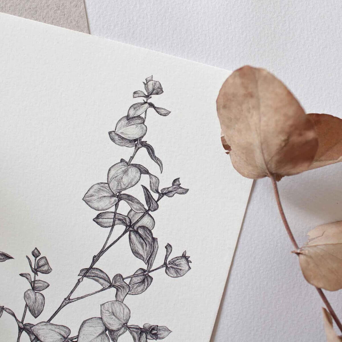 Eucalyptus Print Detail