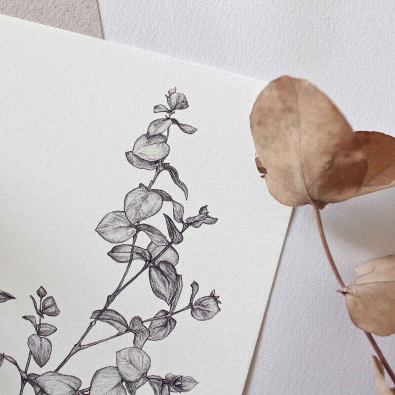 Eucalyptus Print Detail