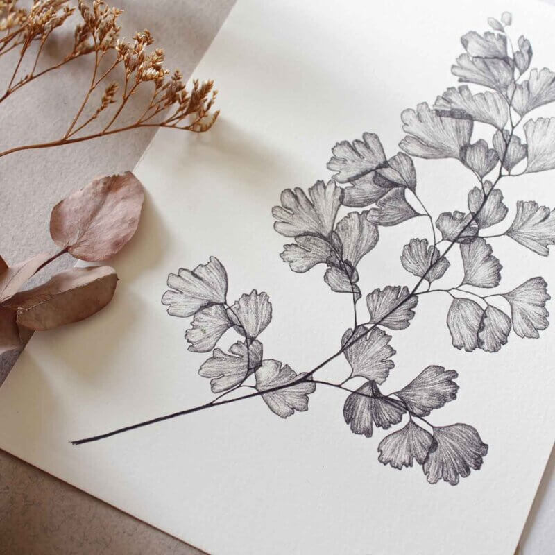 Maidenhair Fern Print Detail