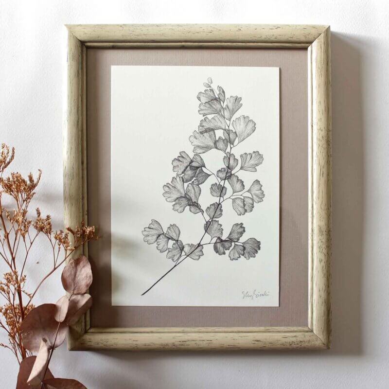 Maidenhair Fern Print Framed