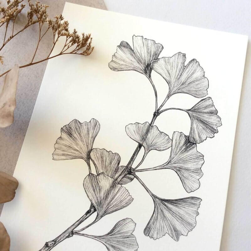 Gingko-Art-Print-Detail-Sky-Siouki