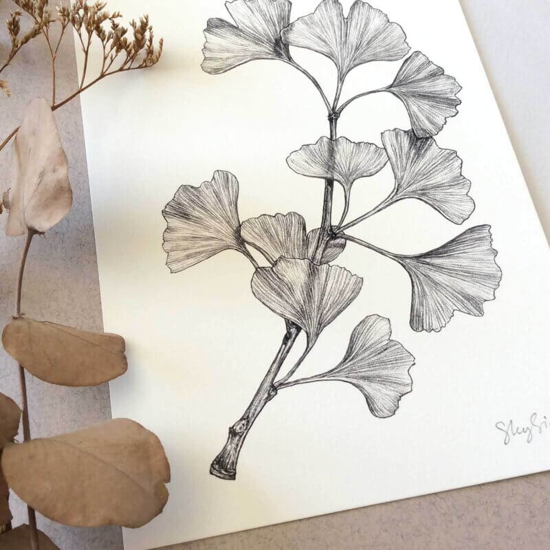 Gingko-Art-Print-Detail-Top-Sky-Siouki