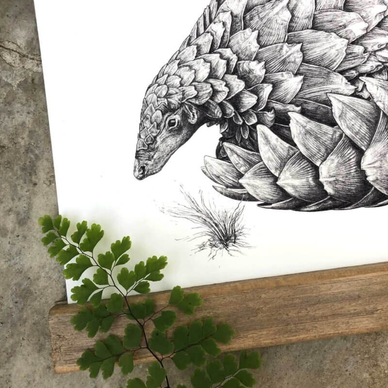 Pangolin-Print-Detail-Sky-Siouki