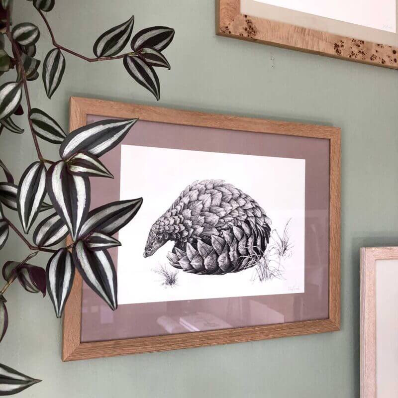 Pangolin-Print-Lifestyle-Sky-Siouki