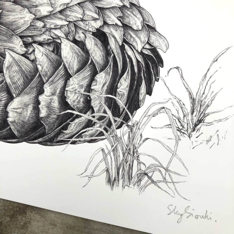 Pangolin-Print-Signature-Sky-Siouki