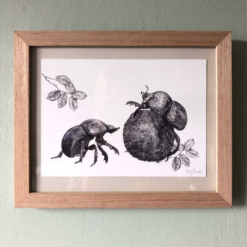 Dung-Beetle-Print-Frame-Sky-Siouki