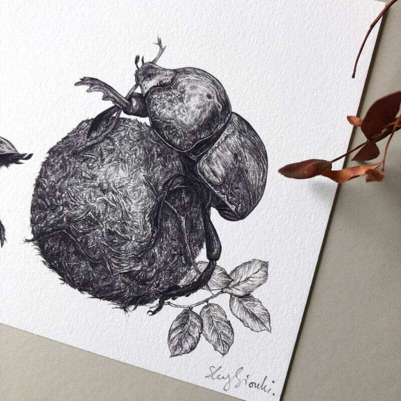 Dung-Beetles-Print-Corner-Sky-Siouki