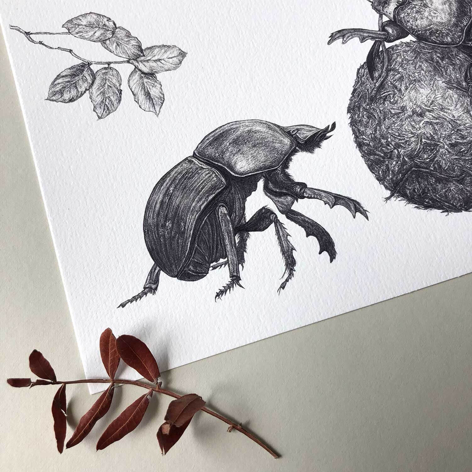 Dung-Beetles-Print-Detail-Sky-Siouki
