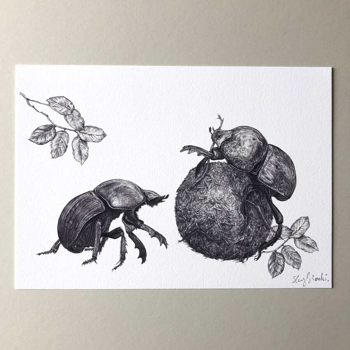 Dung-Beetles-Print-Flat-Sky-Siouki