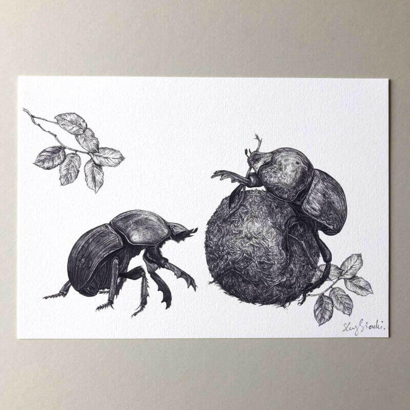 Dung-Beetles-Print-Flat-Sky-Siouki