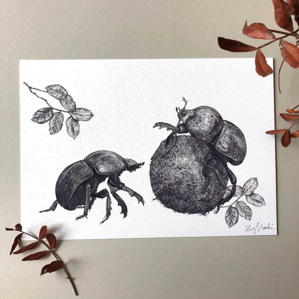 Dung-Beetles-Print-Sky-Siouki