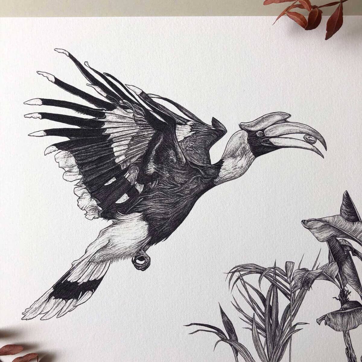 Great-Hornbill-Print-Bird-Sky-Siouki
