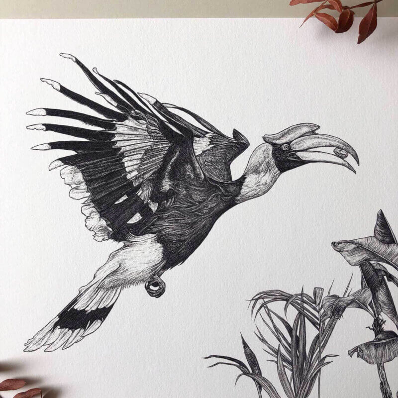 Great-Hornbill-Print-Bird-Sky-Siouki