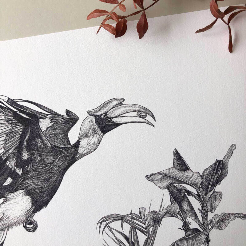 Great-Hornbill-Print-Detail-Sky-Siouki