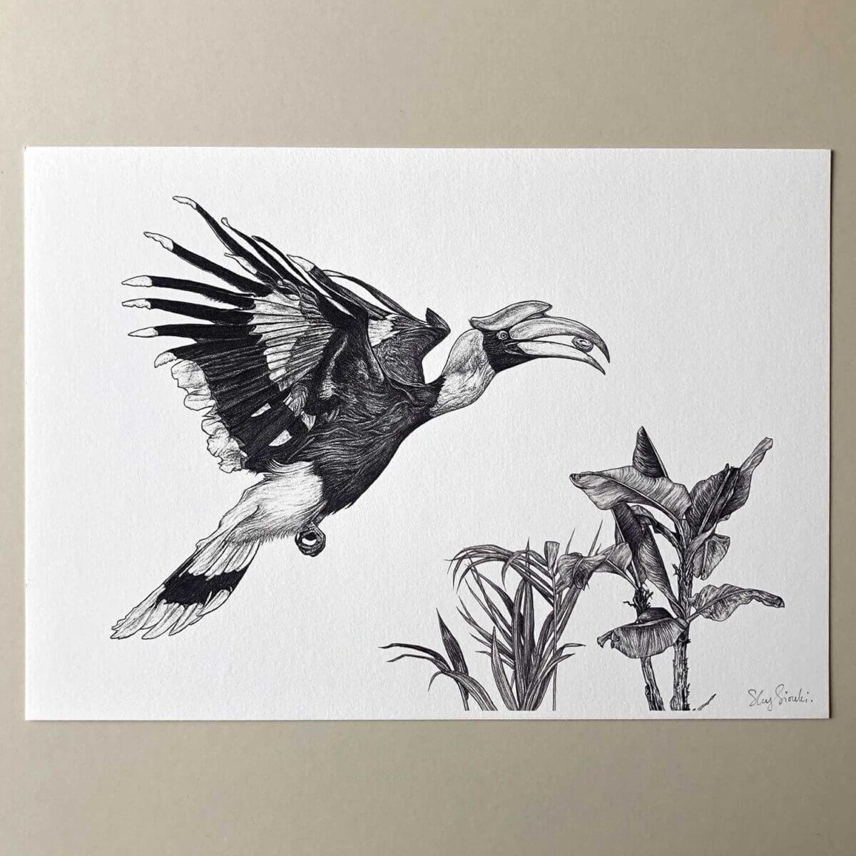 Great-Hornbill-Print-Flat-Sky-Siouki