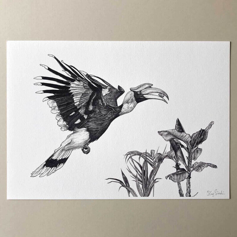 Great-Hornbill-Print-Flat-Sky-Siouki