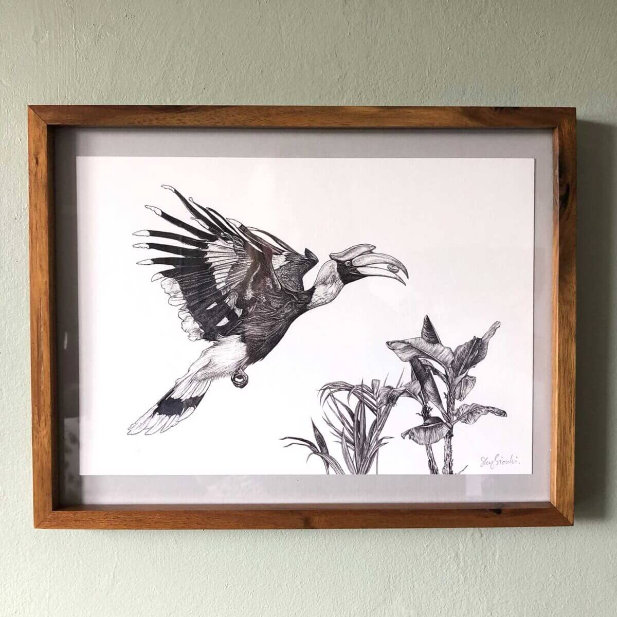 Great-Hornbill-Print-Frame-Sky-Siouki