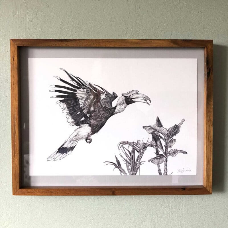 Great-Hornbill-Print-Frame-Sky-Siouki
