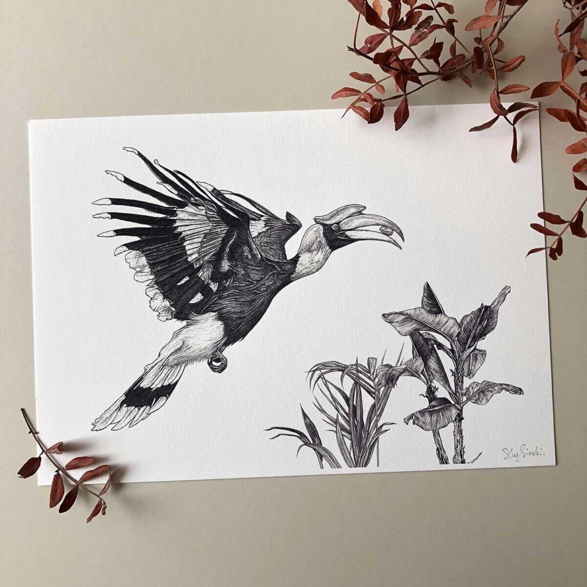 Great-Hornbill-Print-Sky-Siouki