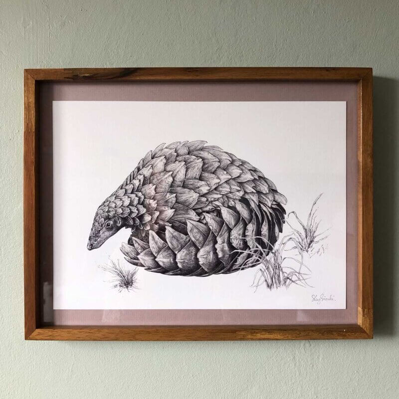 Pangolin-Print-Frame-Sky-Siouki