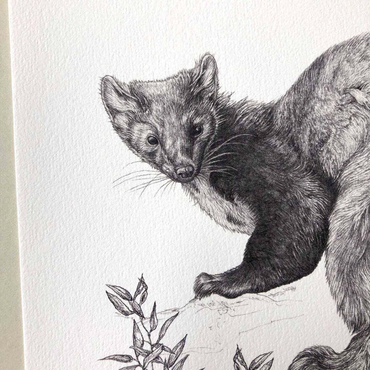 Pine-Marten-Print-Detail-Sky-Siouki