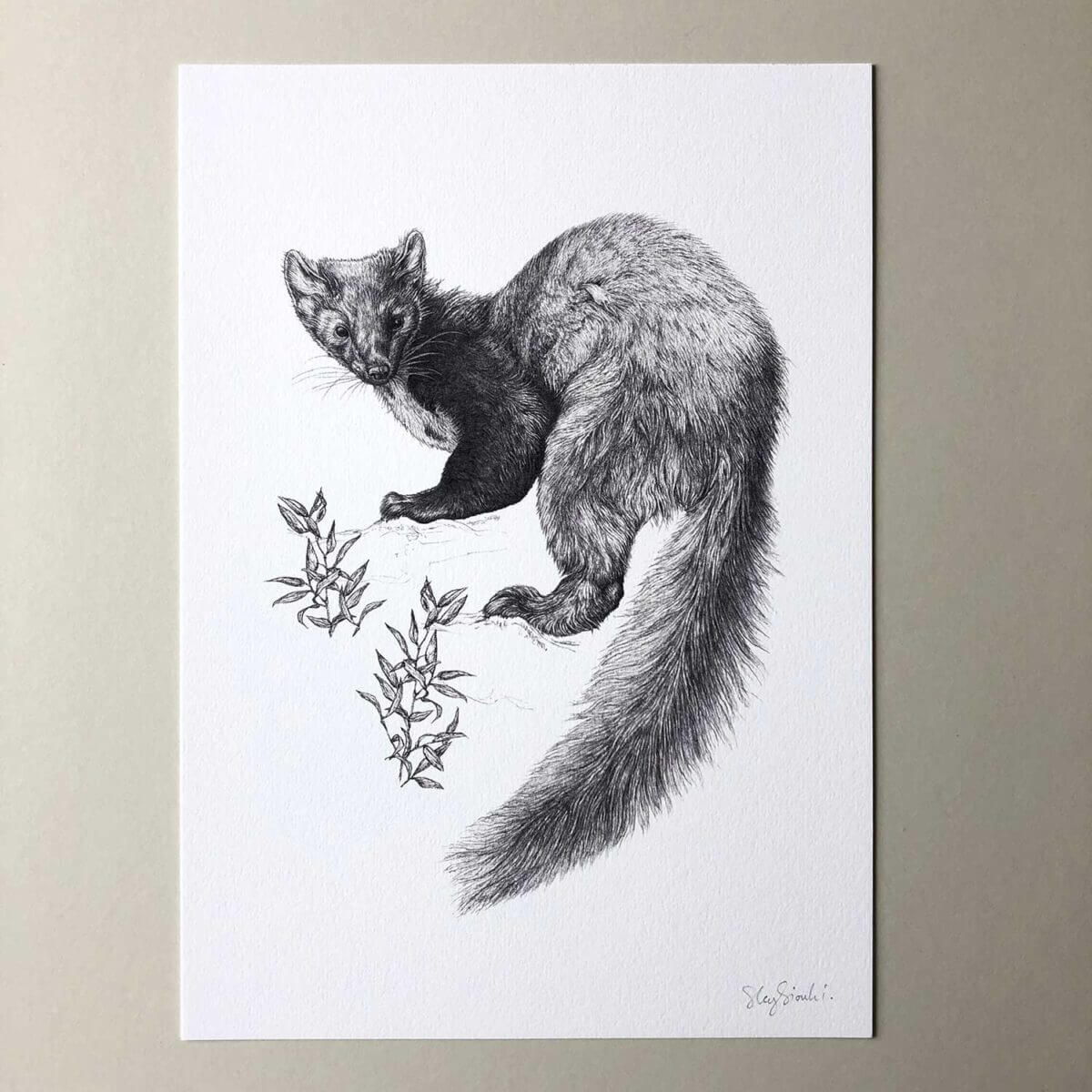 Pine-Marten-Print-Flat-Sky-Siouki