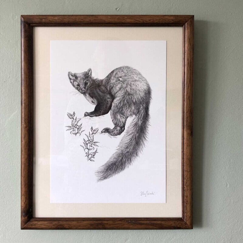 Pine-Marten-Print-Frame-Sky-Siouki