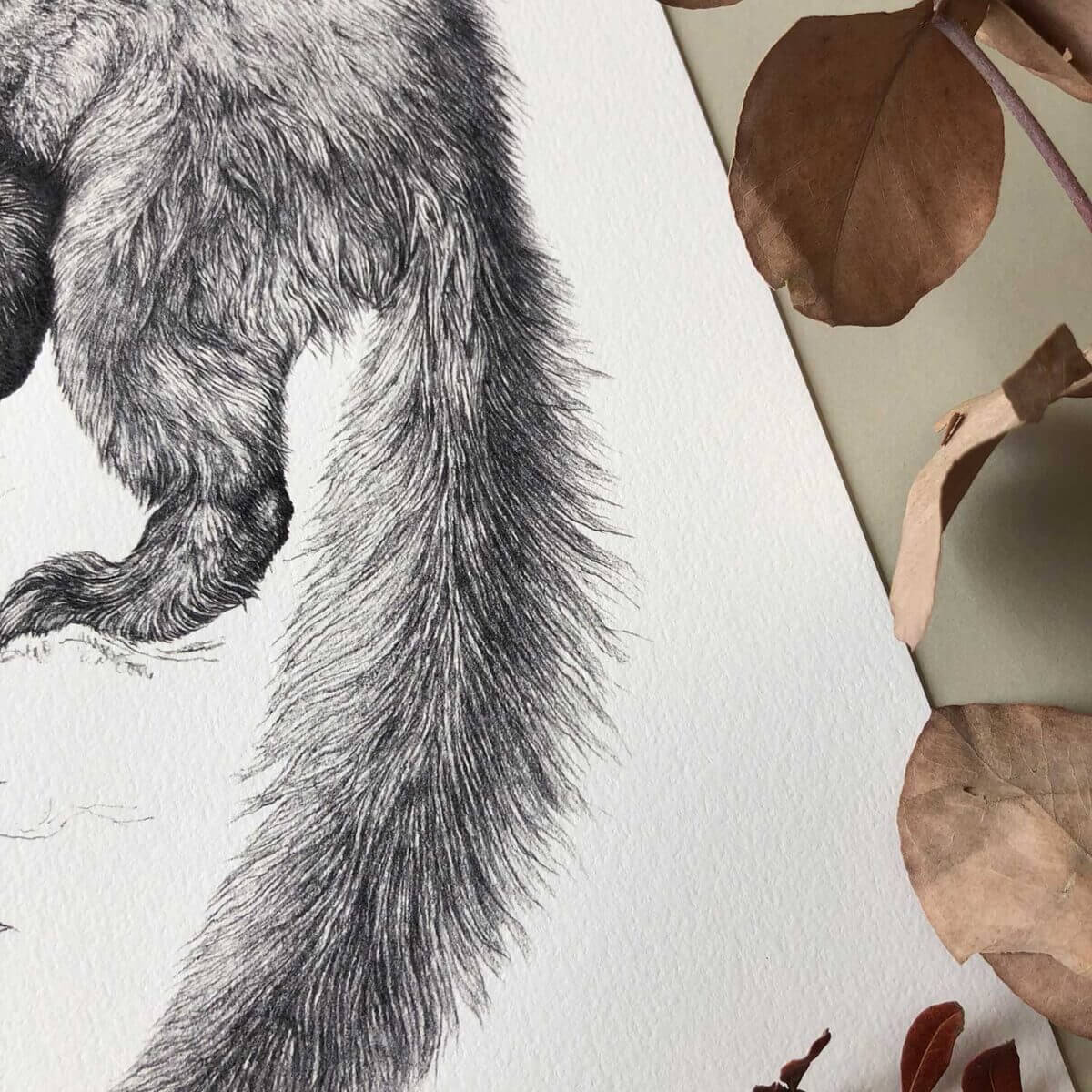 Pine-Marten-Print-Tail-Sky-Siouki