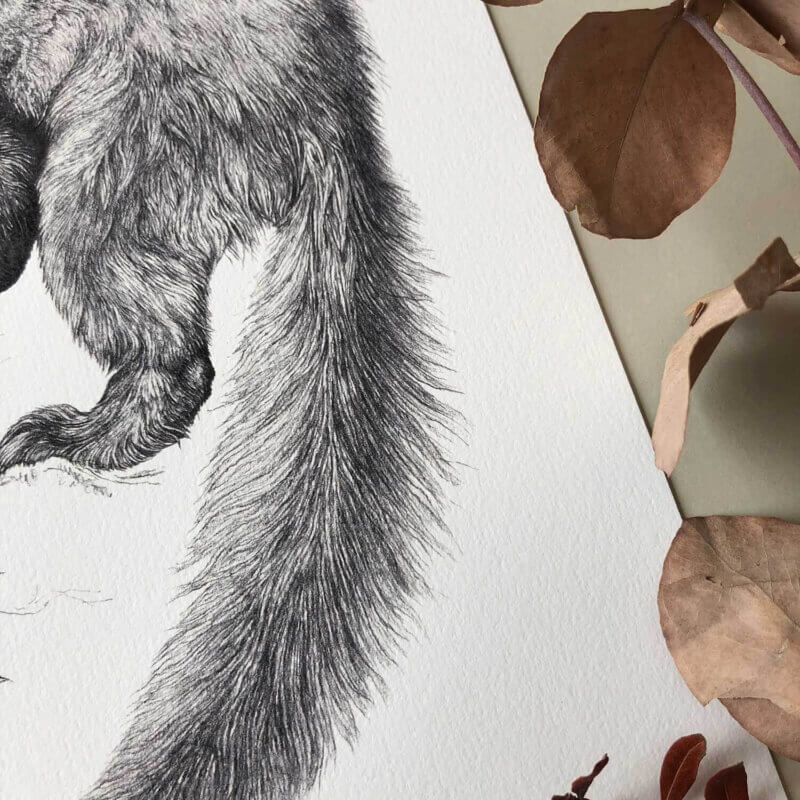 Pine-Marten-Print-Tail-Sky-Siouki