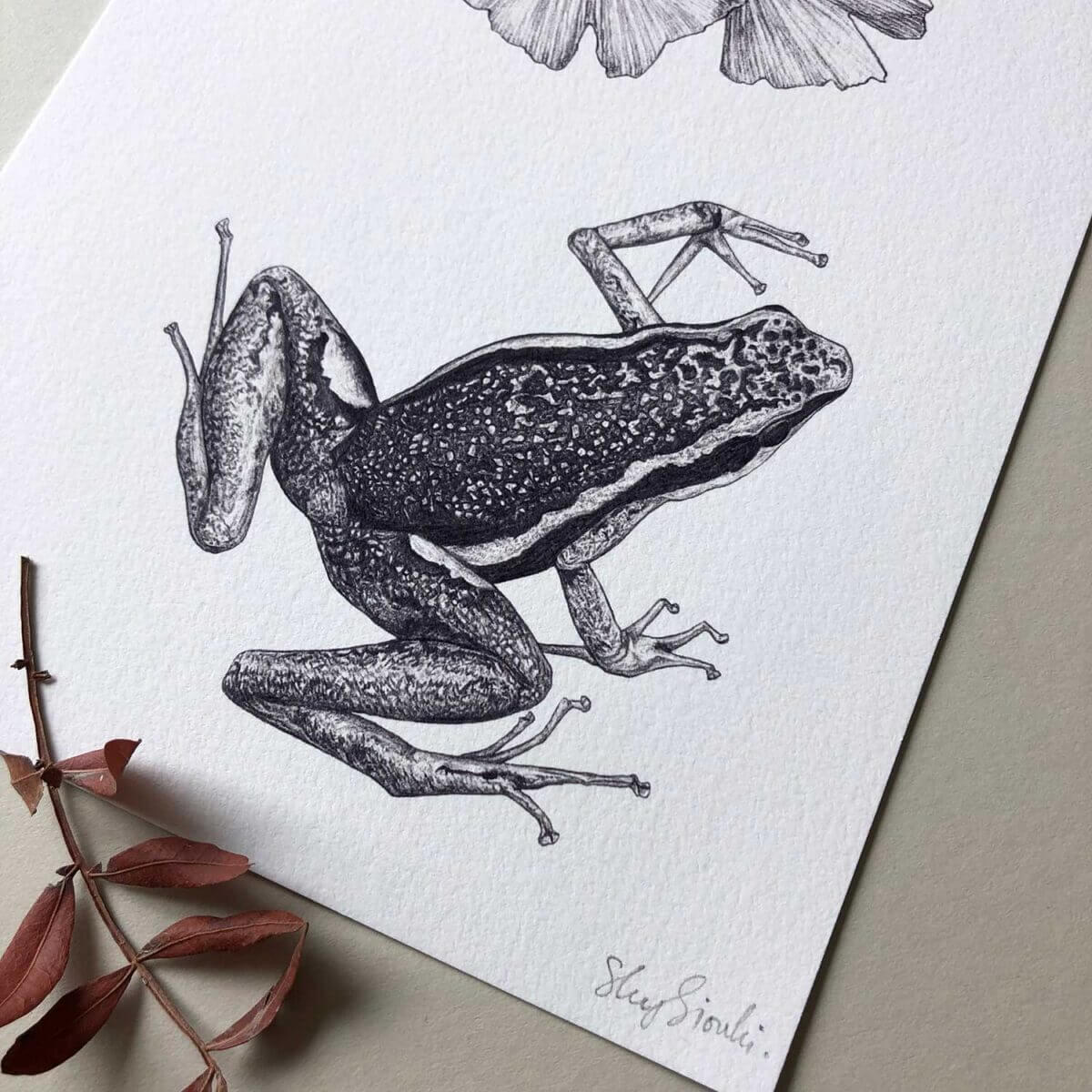 Poison-Dart-Frog-Print-Detail-Sky-Siouki