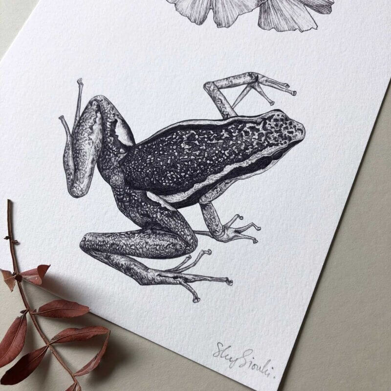 Poison-Dart-Frog-Print-Detail-Sky-Siouki