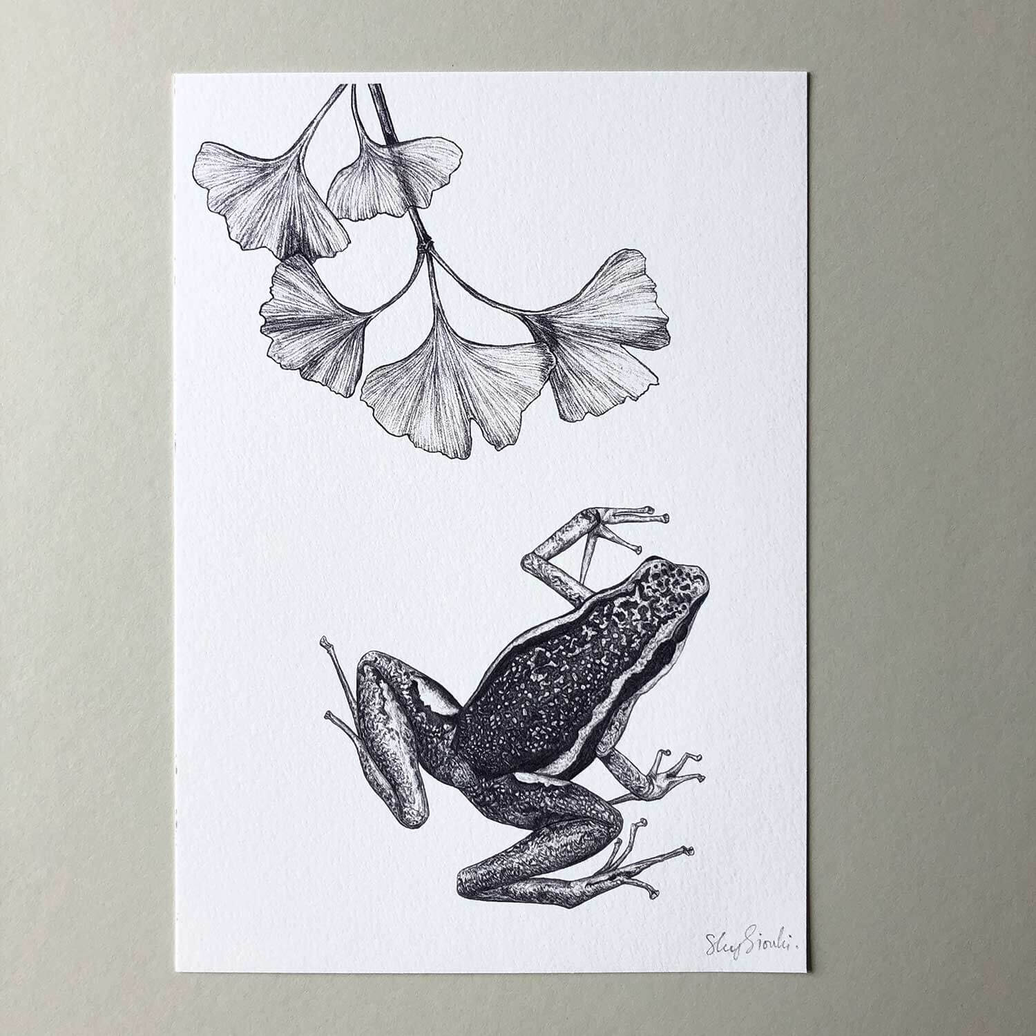 Poison-Dart-Frog-Print-Flat-Sky-Siouki