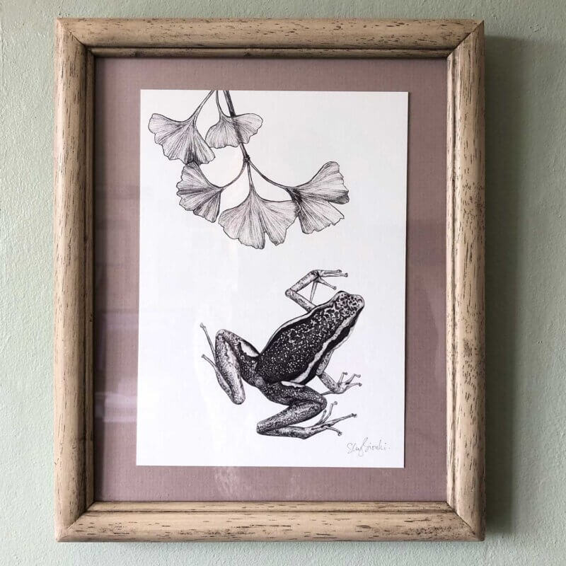 Poison-Dart-Frog-Print-Frame-Sky-Siouki