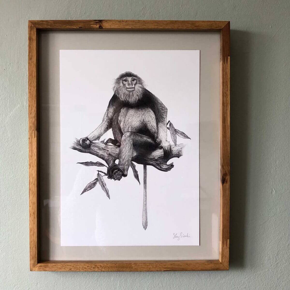 Red-Shanked-Douc-Print-Frame-Sky-Siouki