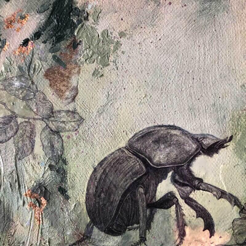 Hidden-Painting-Beetle-Sky-Siouki
