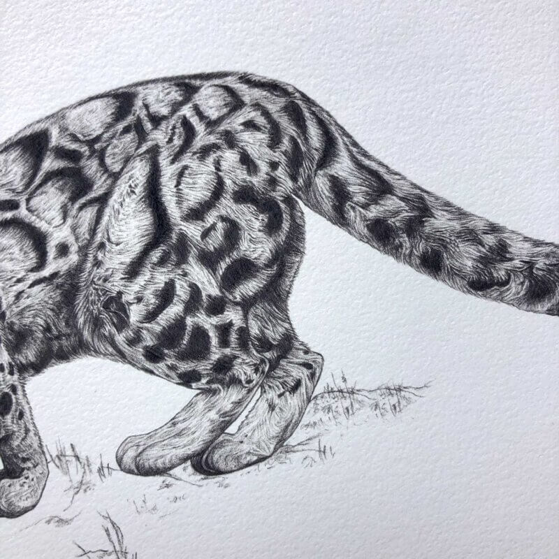 Clouded-Leopard-Print-Detail2-Sky-Siouki