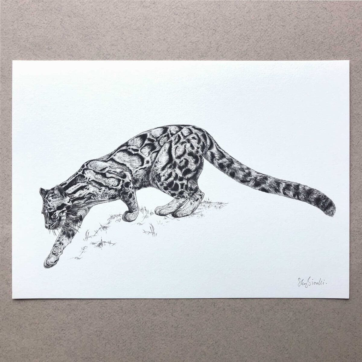 Clouded-Leopard-Print-Flat-Sky-Siouki