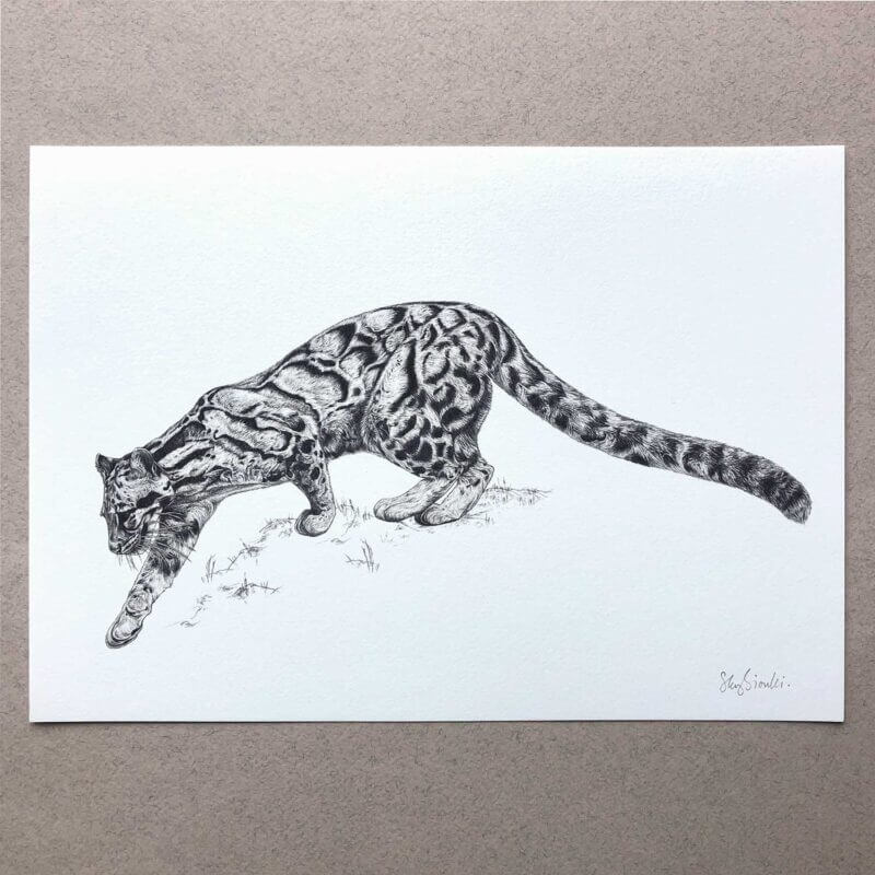 Clouded-Leopard-Print-Flat-Sky-Siouki