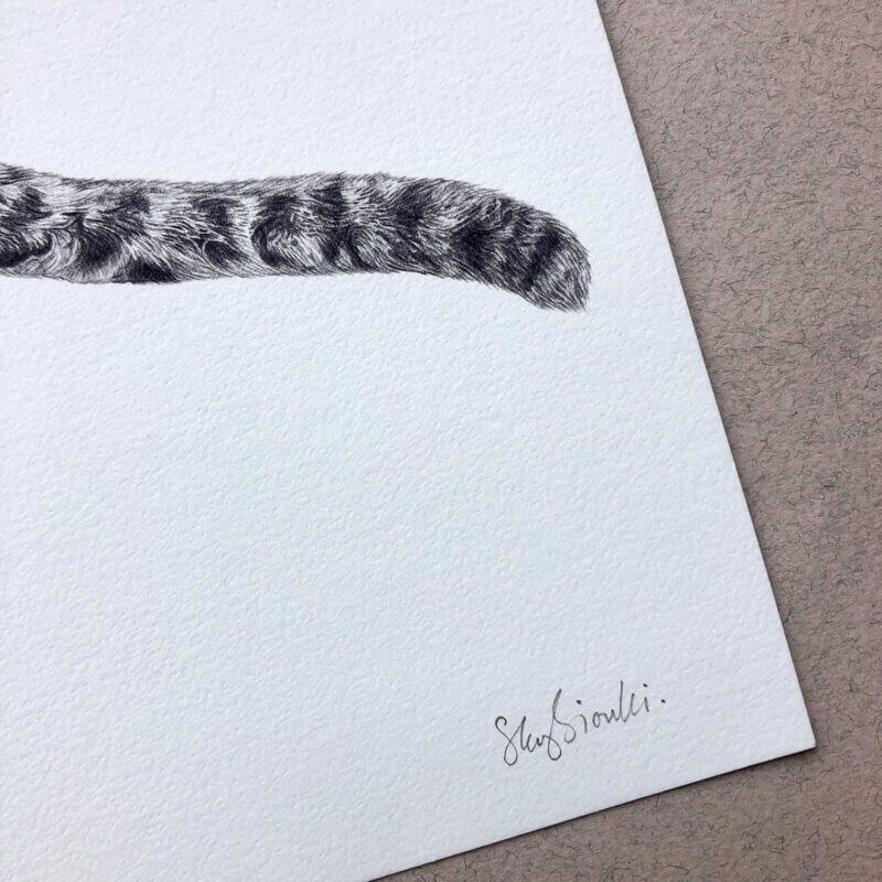 Clouded-Leopard-Print-Tail-Sky-Siouki