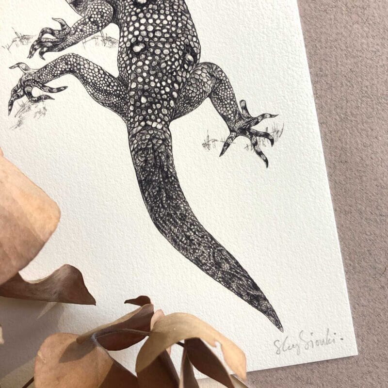 Union-Island-Gecko-Print-Signature-Sky-Siouki
