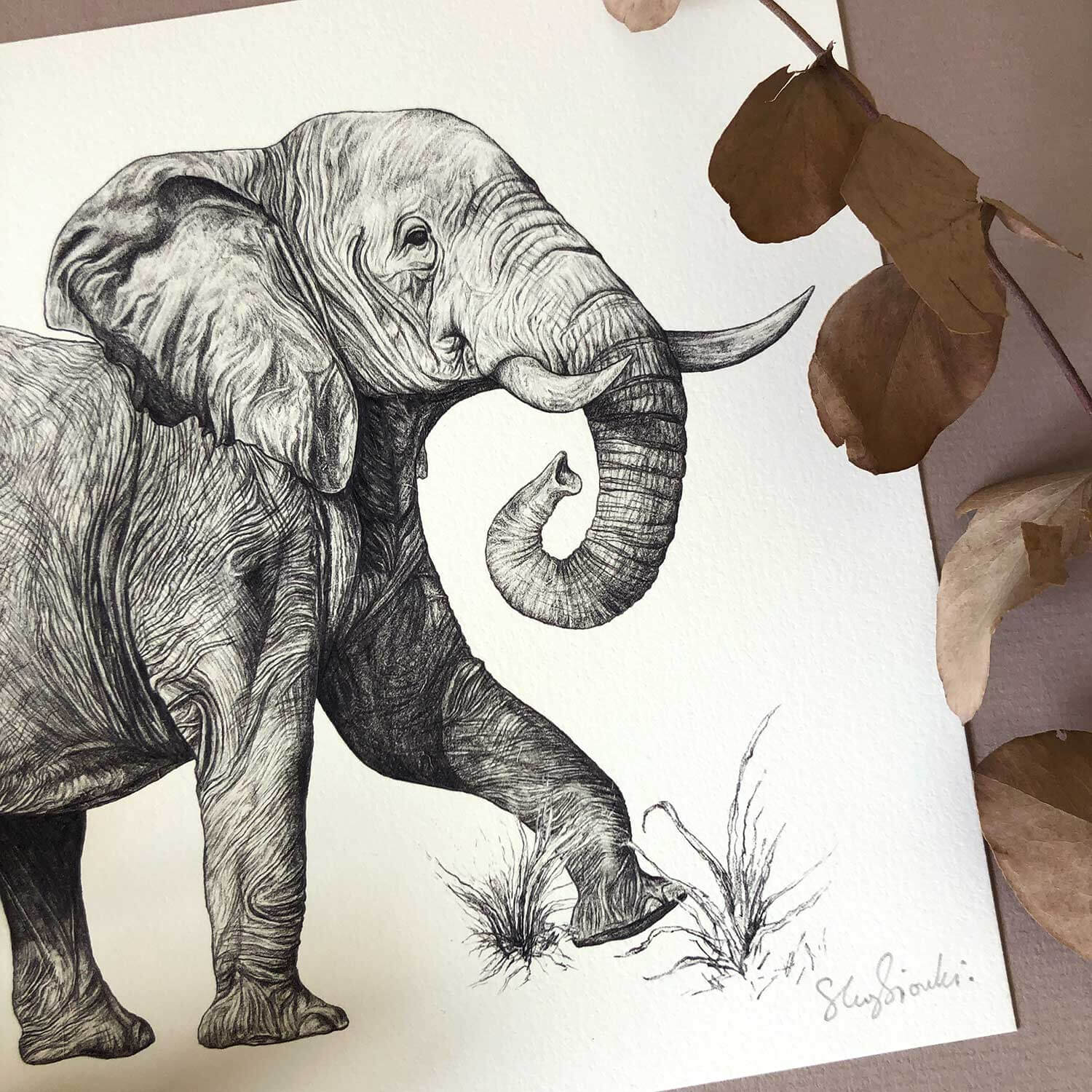 African-Elephant-Print-Detail-Sky-Siouki