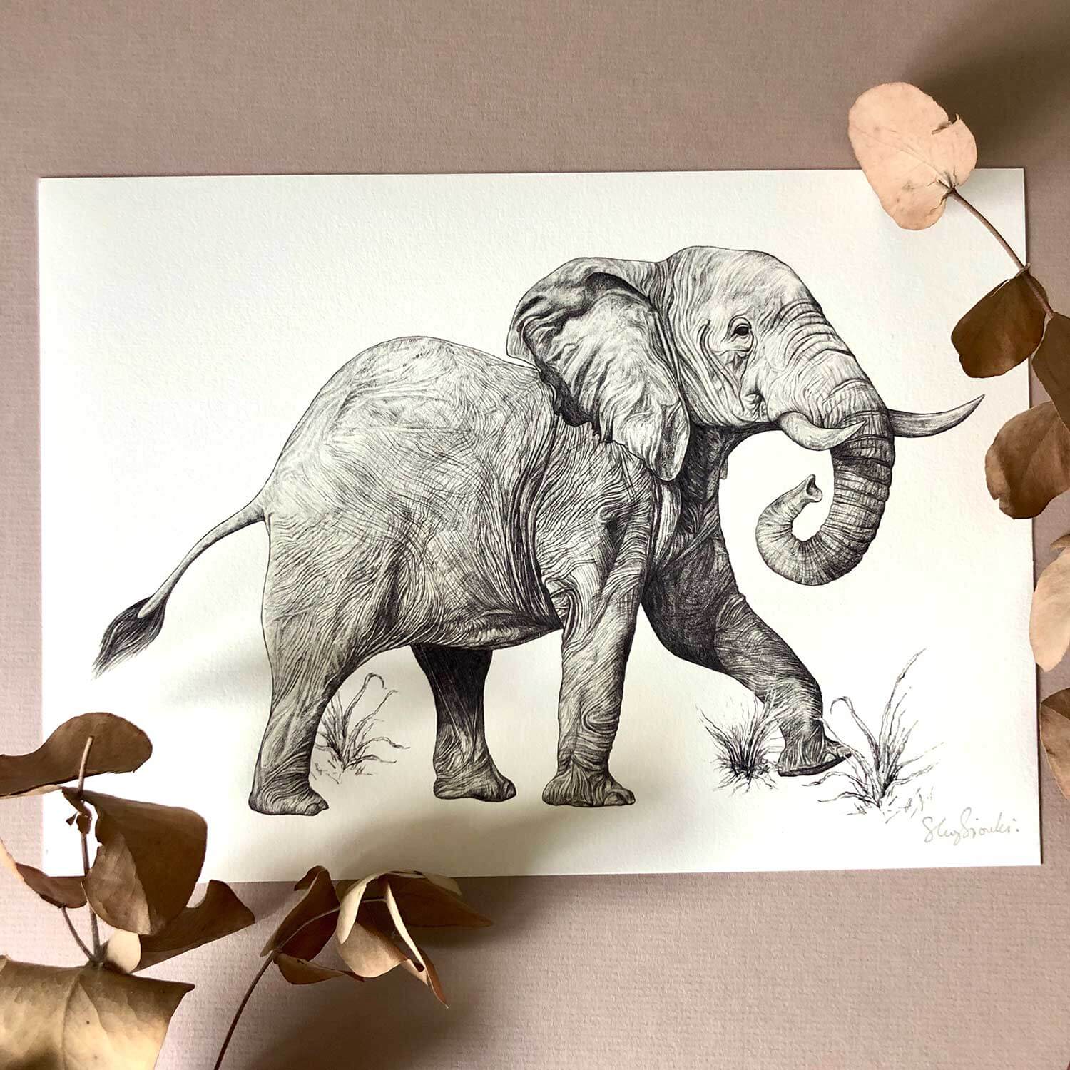 African-Elephant-Print-Sky-Siouki