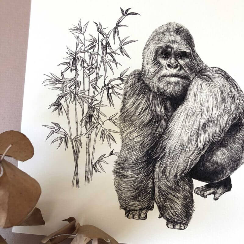 Mountain-Gorilla-Print-Detail-Sky-Siouki