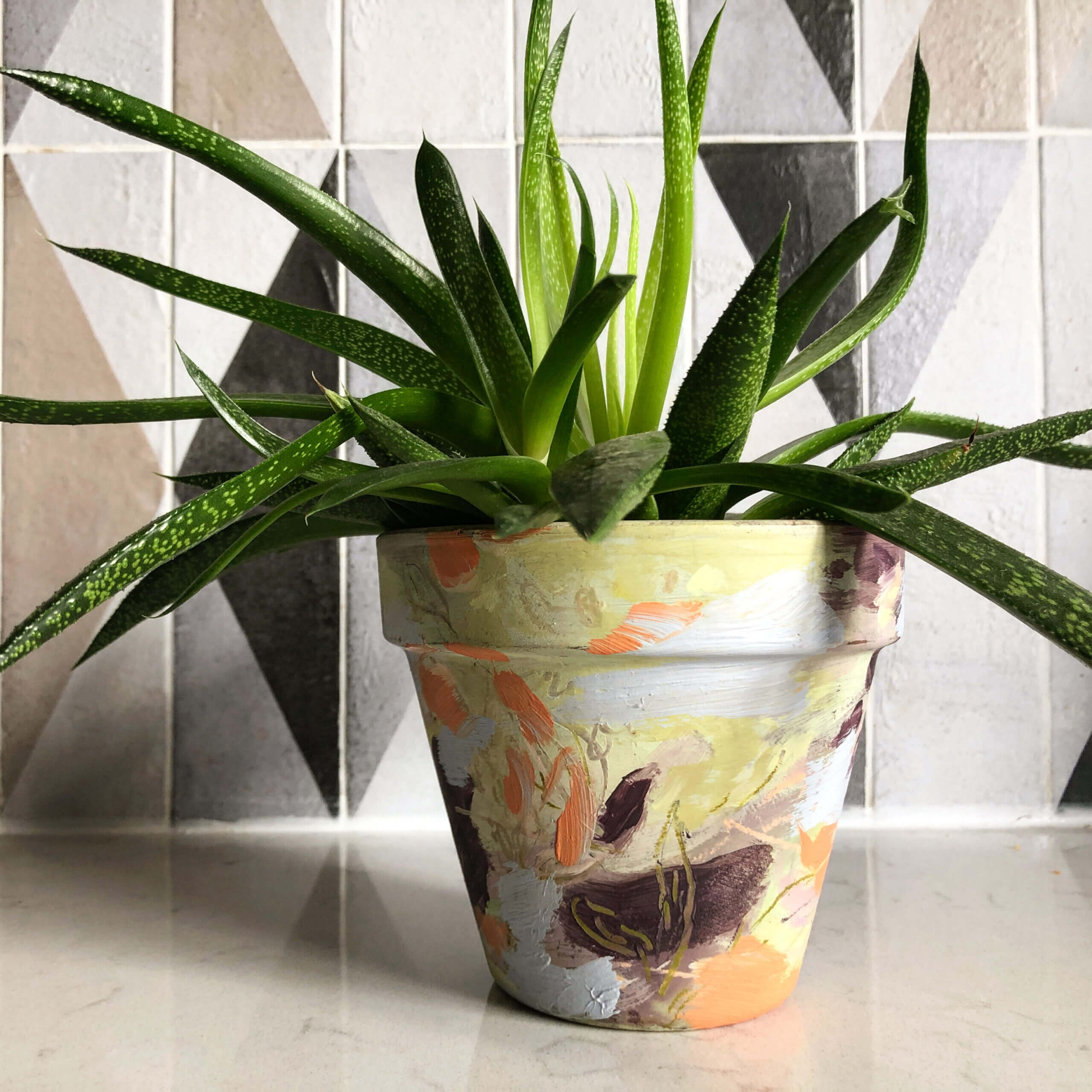 Painted Plant Pot